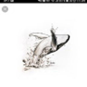 Meet your Posher, Roy